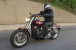 fatbobintermedios1.webp