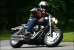 fatbobintermedios2.webp
