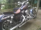 IMG00035-20110603-1553.webp