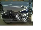 Copia de Harley.webp