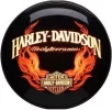 harley_davidson MEDYTERRANEOS.webp