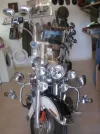 harley 020.webp