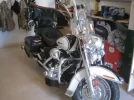 harley 021.webp