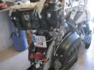 harley 023.webp