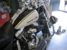 harley 027.webp
