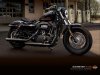 Harley_Sporty48_US_accssry_fr.jpg
