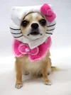 tumblr_l2e86isbUk1qzvk4co1_400.webp