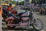 Trepax-Harley.webp