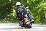 Dragonpics012.webp