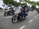 118.webp