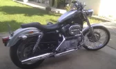 IMAG0306.webp