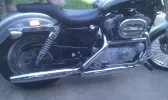 IMAG0310.webp
