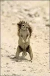 humor_grafico_17.webp