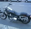 DSC00447.webp