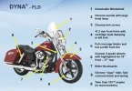 Dyna FLD.webp
