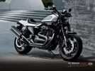 xr 1200.webp
