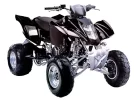 quad.webp