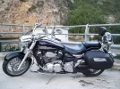 Midnight_star_1900_1.webp