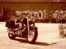 IMG_1795 R1 (929 x 696).webp