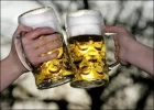 cerveza_sistema_inmunologico.webp cerveza_sistema_inmunologico.webp