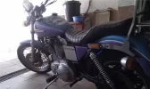 imag0048bis.webp