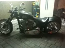harley.webp