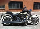 Harley1.webp