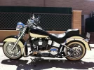 Harley2.webp