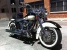 Harley4.webp