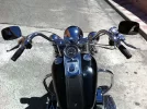 Harley6.webp