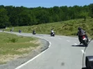P1100646.webp
