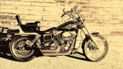 Dyna sepia foro.webp