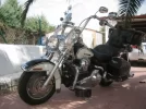 harley 035.webp