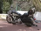 harley 031.webp