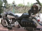 harley 033.webp