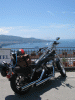 harley.gif