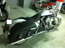13 harley.webp