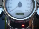 harley 011.webp