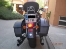 harley 013.webp