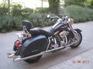 harley 014.webp