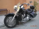 harley 017.webp