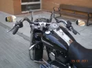 harley 019.webp