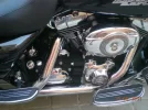 harley 022.webp