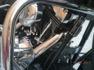 harley 023.webp