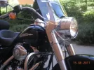 harley 025.webp