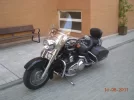 harley 031.webp