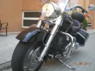 harley 030.webp