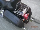 harley 029.webp