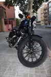Harley 3.webp