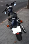 Harley 4.webp